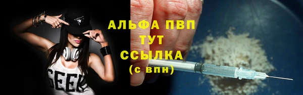 сатива Белокуриха