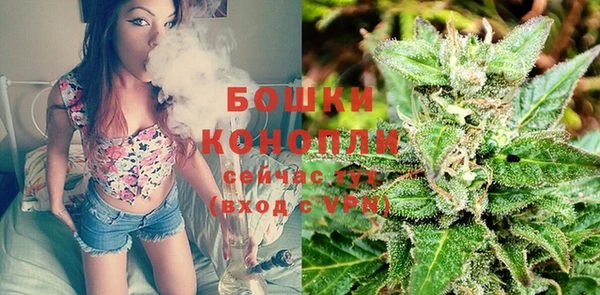сатива Белокуриха