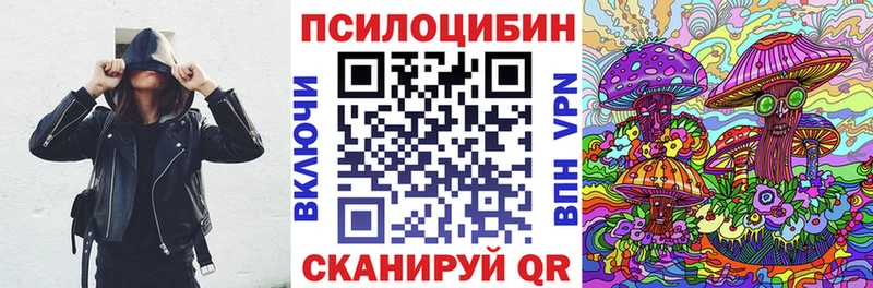 Псилоцибиновые грибы Psilocybine cubensis даркнет телеграм Рязань